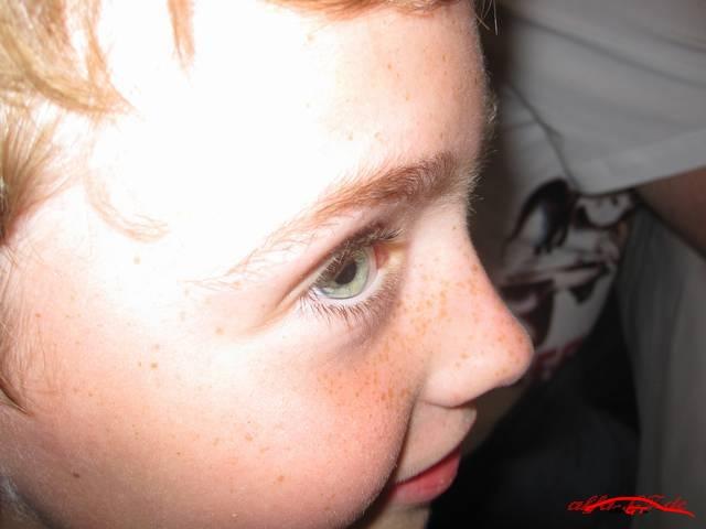 10339 IMG 2511
