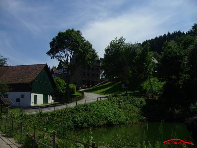 3607 IMG 2968 Resized