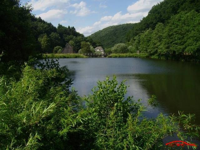 3618 IMG 2980 Resized