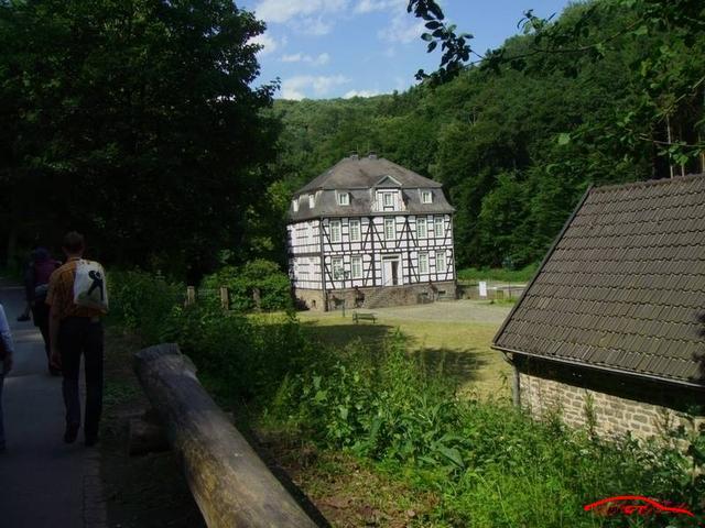 3619 IMG 2981 Resized