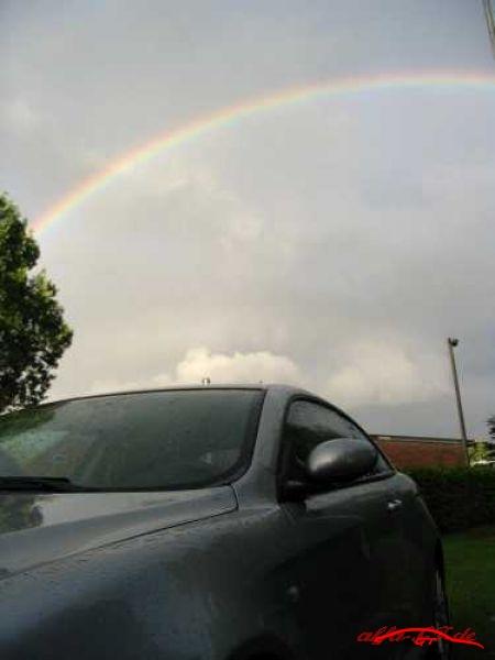 3898 regenbogen 450 600