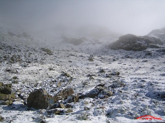 5153 IMG 0011