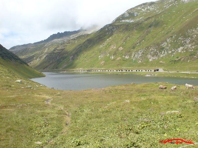 692 DSC00952