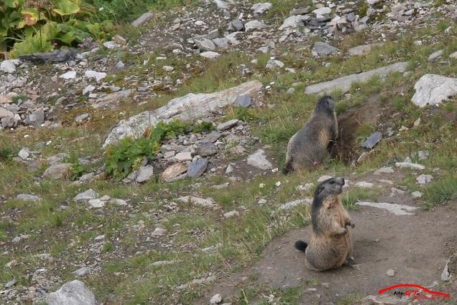 9127 120825 017 Furkapass Abfahrt