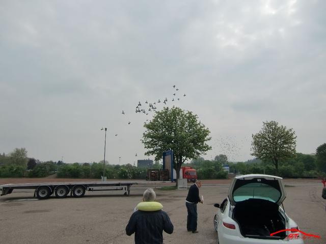 6303 CIMG2901