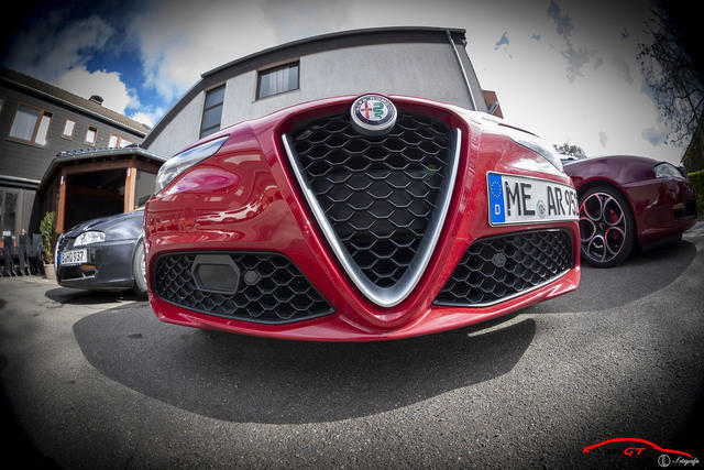 Alfa GT Eifel 2019 10