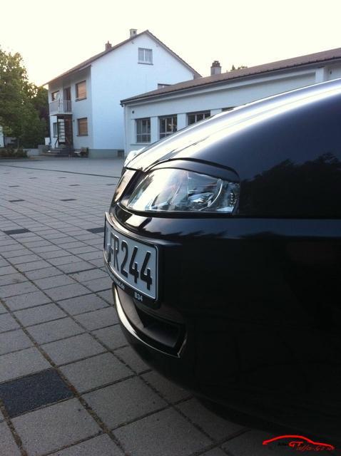 7318 IMG 1213