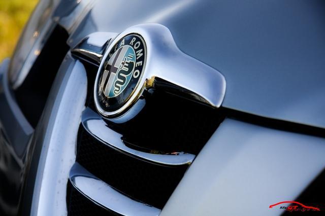 8481 alfa emblem