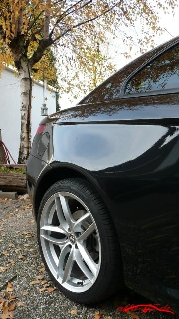 9477 Herbstimpression 2