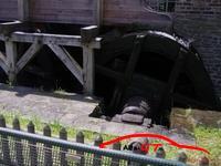 3604 IMG 2965 Resized