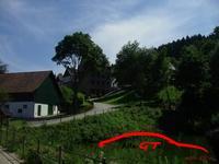 3607 IMG 2968 Resized