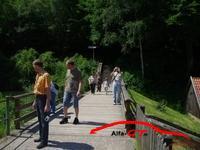 3609 IMG 2970 Resized