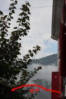 9143 120824 038 Meiringen