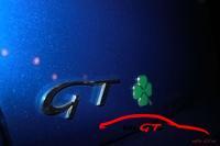 10014 gtmeet2013498
