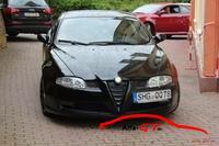 10021 gtmeet2013611