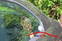 10084 gtmeet2013039