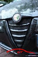 10177 gtmeet2013486