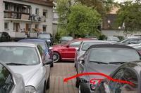 10262 gtmeet2013905