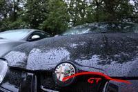 10275 gtmeet2013487