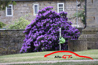 42085204832 d9eb3a3673 k