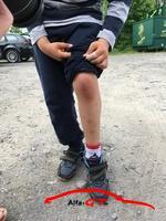 IMG 4951