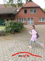 IMG 4967