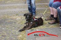 gttreffen2018505