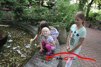 gttreffen2018651