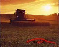 1460 Bei Sonnenuntergang