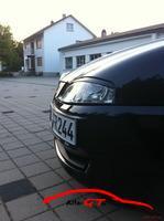 7318 IMG 1213